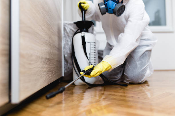 Best Pest Removal Services  in Oakleaf Plantation, FL