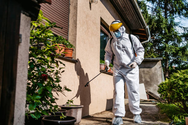 Wasp Removal Services in Oakleaf Plantation, FL